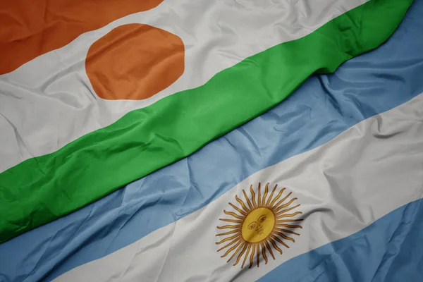 アルゼンチンのカラフルな旗とニジェールの国旗を振る. — ストック写真