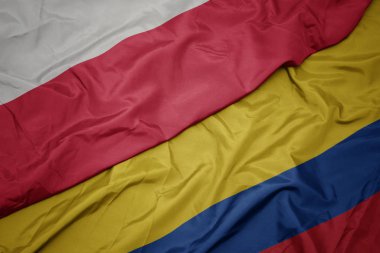 kolombiya ve polonya ulusal bayrağı renkli bayrak sallayarak.