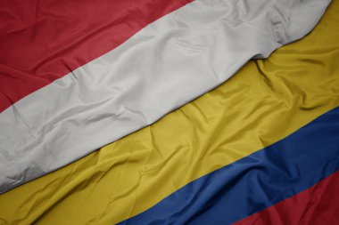 kolombiya ve endonezya ulusal bayrağı renkli bayrak sallayarak.