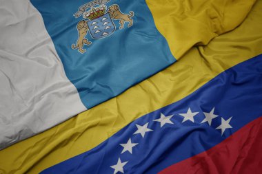 venezuela renkli bayrak ve kanarya adaları ulusal bayrak sallayarak.