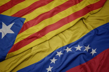 venezuela ve Katalonya ulusal bayrağı renkli bayrak sallayarak.