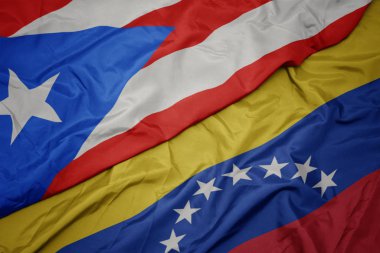 venezuela ve porto riko ulusal bayrağı renkli bayrak sallayarak.