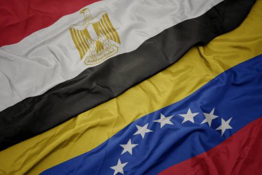venezuela ve Mısır ulusal bayrağı renkli bayrak sallayarak .