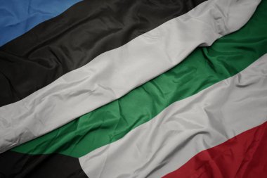 kuveyt ve estonya ulusal bayrağı renkli bayrak sallayarak.