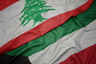 kuveyt ve lübnan ulusal bayrağı renkli bayrak sallayarak.