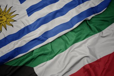kuveyt ve uruguay ulusal bayrağı renkli bayrak sallayarak.