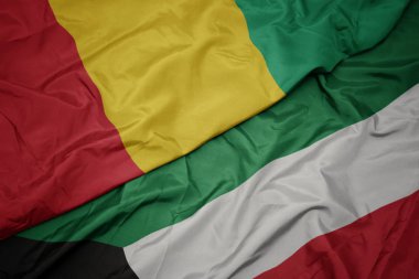 kuveyt ve gine ulusal bayrağı renkli bayrak sallayarak.