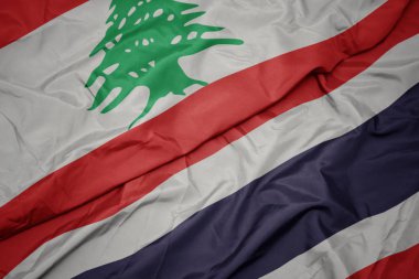 tayland renkli bayrak ve lübnan ulusal bayrağı sallayarak.