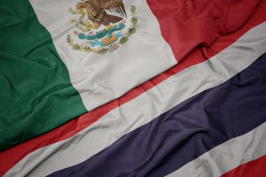 tayland renkli bayrak ve Meksika ulusal bayrağı sallayarak.