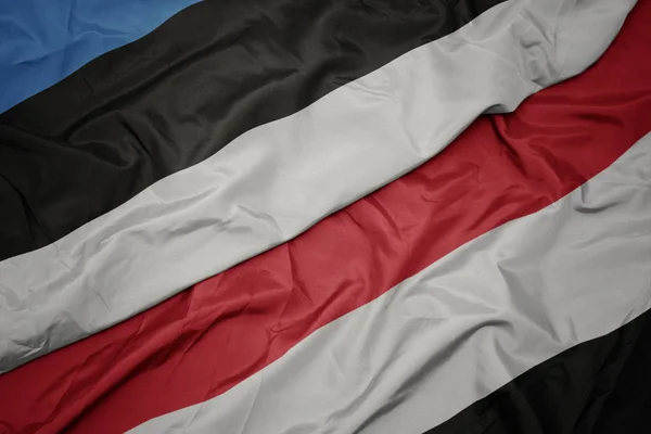 Sventolando bandiera colorata di yemen e bandiera nazionale di estonia . — Foto Stock