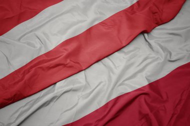 Polonya 'nın renkli bayrağı ve Avusturya' nın ulusal bayrağı sallanıyor..