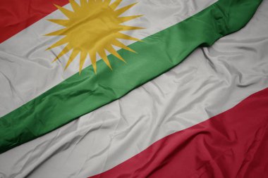 polonya ve kürdistan ulusal bayrağı renkli bayrak sallayarak.