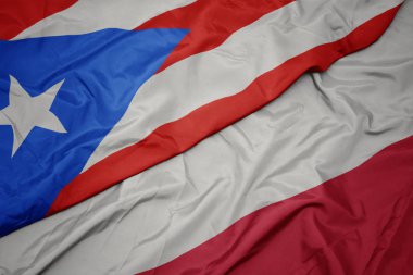 polonya ve porto riko ulusal bayrağı renkli bayrak sallayarak.