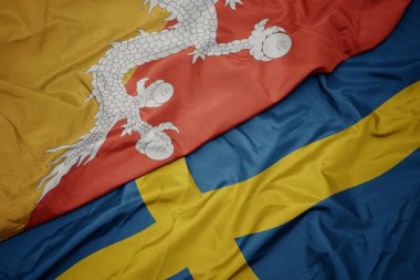 Bhutan bayrağının rengarenk bayrağını sallayarak.