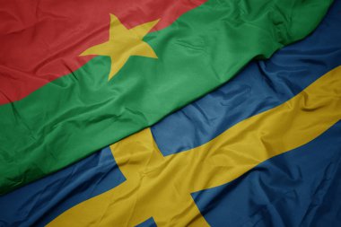 İsveç ve Burkina faso bayrağının renkli bayrağını sallıyordu..