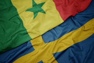 Senegal bayrağının rengarenk bayrağını sallayarak.