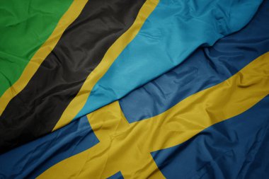 Tanzanya bayrağının rengarenk bayrağını sallıyor.