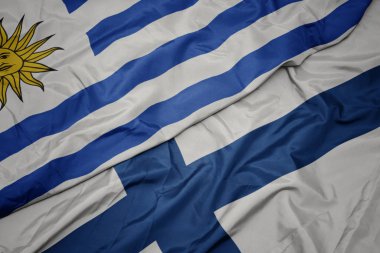 Finlandiya bayrağı ve Uruguay bayrağı sallanıyor..
