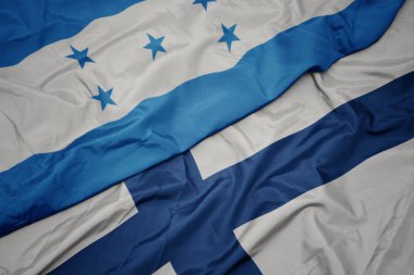 Finlandiya bayrağı ve Honduras bayrağı sallanıyor..
