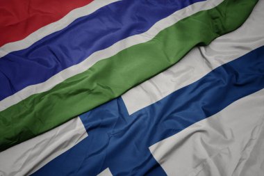 Finlandiya bayrağı ve ulusal gambiya bayrağı sallanıyor..