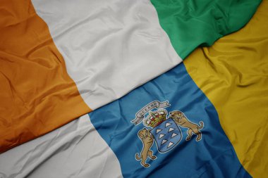 Kanarya adalarının rengarenk bayrağını sallayarak ve ulusal Cote Divoire bayrağını sallayarak.