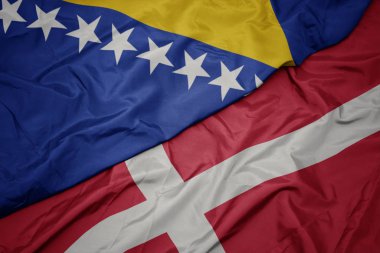 Danimarka 'nın renkli bayrağını sallıyor Bosna ve Herzegovina' nın ulusal bayrağını sallıyor..