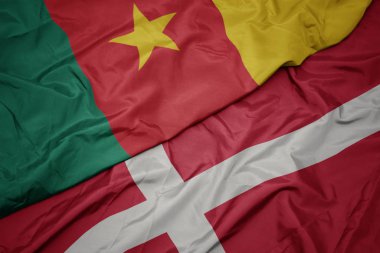 Danimarka 'nın renkli bayrağı ve Kamerun' un ulusal bayrağı sallanıyor..