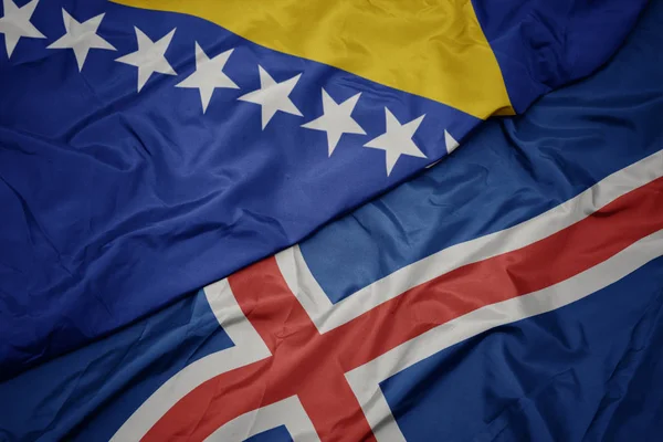 İzlanda 'nın renkli bayrağını sallıyor ve Bosna ile Herzegovina' nın ulusal bayrağını sallıyor.. — Stok fotoğraf