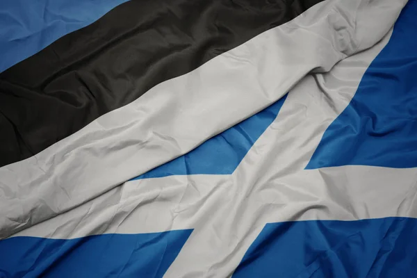 waving colorful flag of scotland and national flag of estonia.