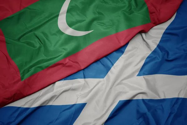waving colorful flag of scotland and national flag of maldives.