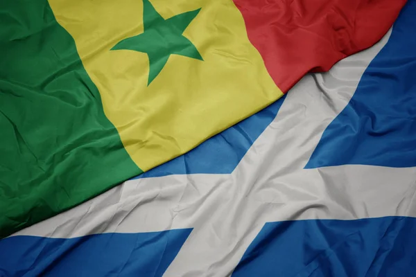 waving colorful flag of scotland and national flag of senegal.