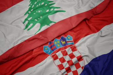 Hırvat bayrağını sallıyor ve Lübnan bayrağını sallıyor.