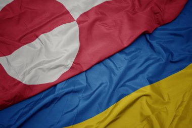 waving colorful flag of ukraine and national flag of greenland.