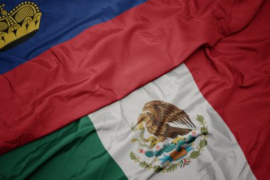 Meksika bayrağı ve ulusal Lihtenştayn bayrağı sallıyordu. makro