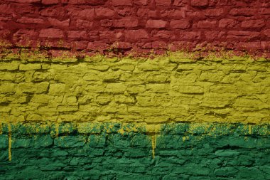 Bolivya 'nın büyük ulusal bayrağını kocaman bir tuğla duvara boyamış.