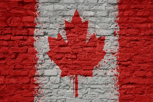 Färgglada Målade Stora Nationella Flagga Kanada Massiv Gammal Tegelvägg — Stockfoto