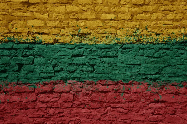 Kleurrijk Geschilderd Grote Nationale Vlag Van Lithuania Een Massieve Oude — Stockfoto