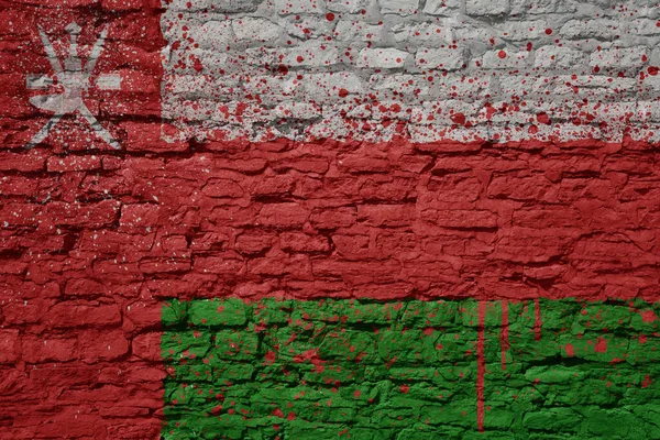 Красочные Окрашены Большой Национальный Флаг Человека Массивной Старой Кирпичной Стене — стоковое фото