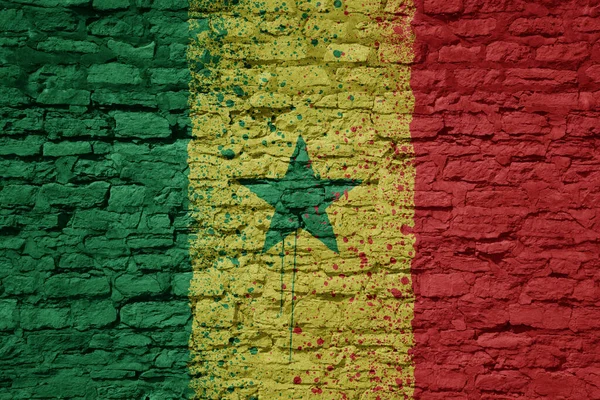 Colorful Painted Big National Flag Senegal Massive Old Brick Wall — Stock Photo, Image