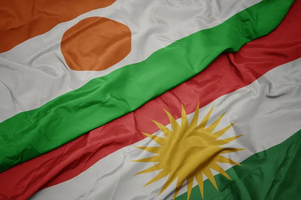 Machając Barwną Flagą Kurdystanu Narodową Flagą Nigru Makro — Zdjęcie stockowe