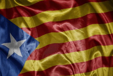 İpeksi bir dokuda büyük bir katalonya bayrağı sallıyordu.