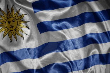 Uruguay 'ın renkli, büyük ulusal bayrağını ipeksi bir dokuda sallıyordu.