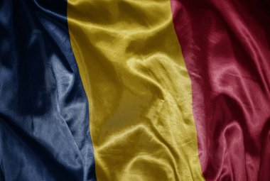 İpeksi bir dokuda rengarenk, büyük, parlak, ulusal bir Chad bayrağı sallıyordu.