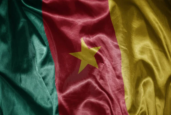 Waving Colorful Shining Big National Flag Cameroon Silky Texture — Stock Photo, Image