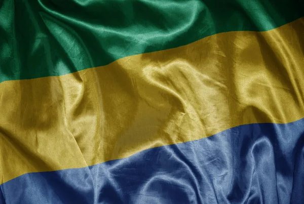 Lengetve Színes Ragyogó Nagy Nemzeti Zászló Gabon Egy Selymes Textúra — Stock Fotó