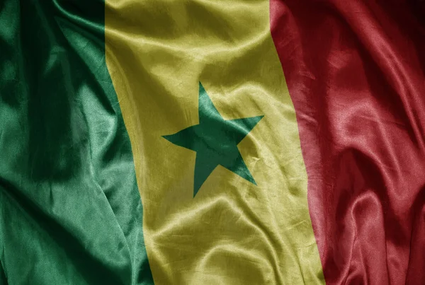 Waving Colorful Shining Big National Flag Senegal Silky Texture — Stock Photo, Image