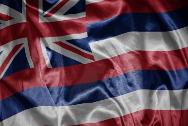 Havai eyaletinin renkli, parlak bayrağını ipeksi bir dokuda sallıyordu.