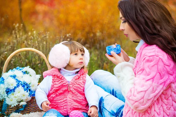 Молодая мать с дочерью на пикнике в парке осенью — стоковое фото