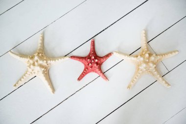 Yaz deniz arka plan - deniz yıldızı Beyaz ahşap zemin üzerinde.
