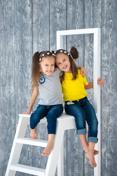 Two Pretty Cheerful Girls Sisters Jeans Sitting Stepladder Front Wooden — Stock Photo, Image